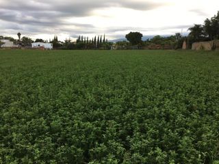Venta de Rancho con áreas de siembra en Atlixco, Puebla