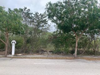 Terreno en venta, Dzidzilché, Mérida, Yucatán
