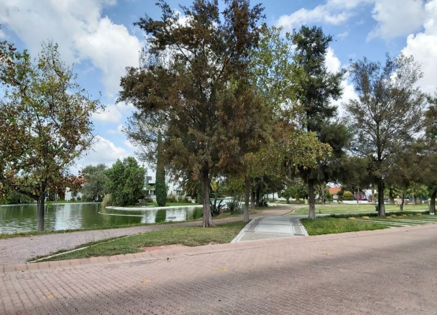 place photo 38