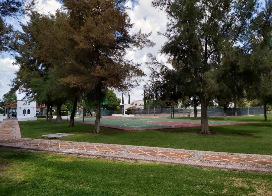 place photo 39