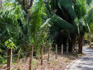 Jungle Views 1545, Camino a Playa Carricitos, NA, Riviera Nayarit - Terreno en venta en Sayulita, Bahia de Banderas