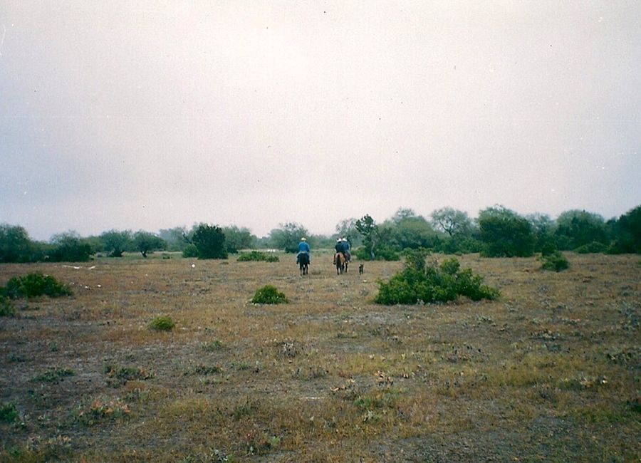 330 hectareas en venta en RÍO VERDE SAN LUIS POTOSI