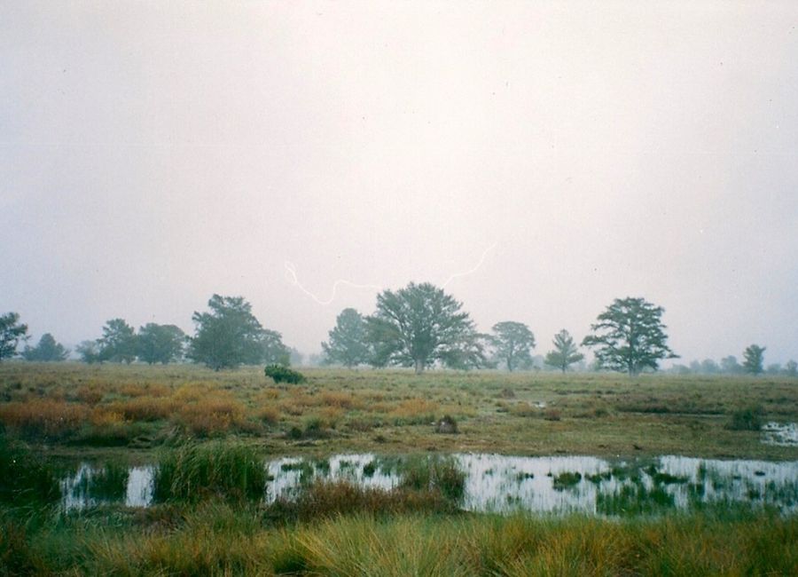 330 hectareas en venta en RÍO VERDE SAN LUIS POTOSI