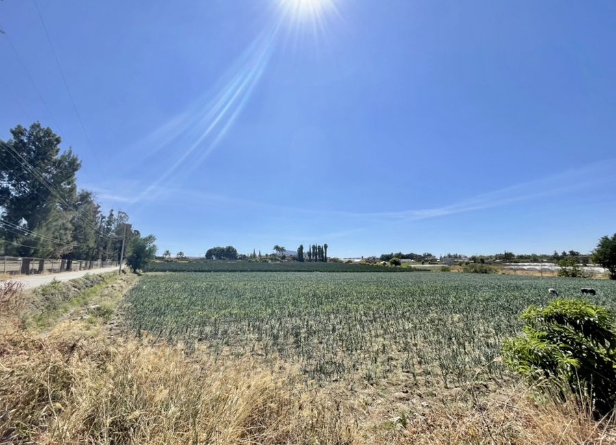 place photo 4