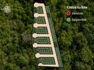 Lotes en venta PALMAVISTA Chicxulub ,Yucatán | ENTREGA 2025 |
