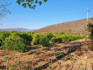 Terreno de 2 hectáreas en VENTA, Los Asmoles, Colima