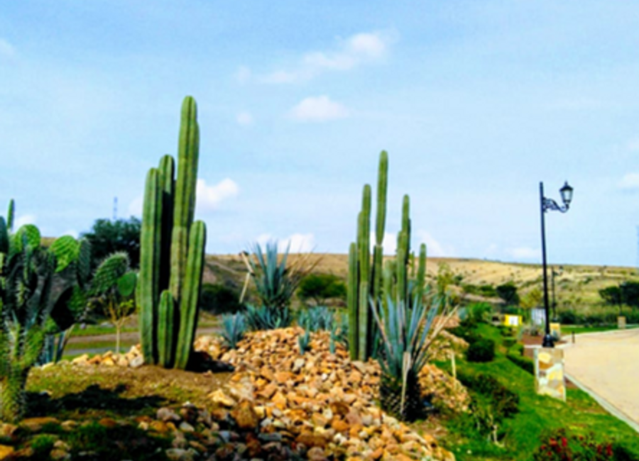 TERRENO RESIDENCIAL CAMPESTRE DE OPORTUNIDAD ! A 10 MIN DE GUANAJUATO