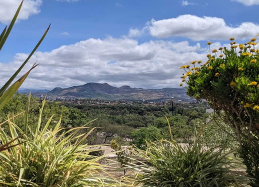 TERRENO RESIDENCIAL CAMPESTRE DE OPORTUNIDAD ! A 10 MIN DE GUANAJUATO