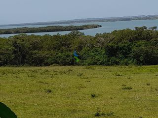 Terreno en venta en la Isla Juan A. Ramirez en Veracruz