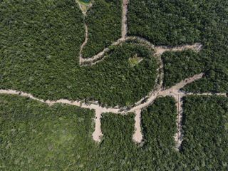 528 TULUM, Tulum, Quintana Roo, Terrenos Residenciales con Cenote Propio