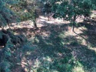 Terreno de 9,700 m2 en Fraccionamiento Lomas de la Floresta en Morelia Michoacán