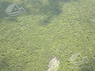 Terreno en Venta en Selva Sagrada Sm 106 Cancun KCU5726