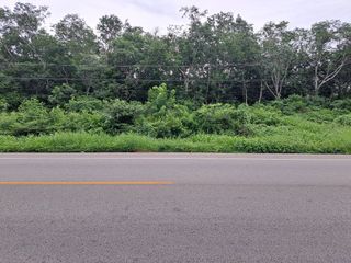 Venta terreno de 2.2 Ha, uso mixto sobre carretera Valladolid–Temozon en Yucatan