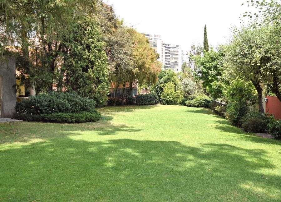 place photo 22