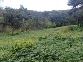 Rancho apto para Ganadería,  Granjas y Siembra, en Villa Corzo Chiapas
