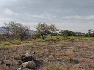 Terreno de 420 m2 en Temixco, Morelos. C- 210
