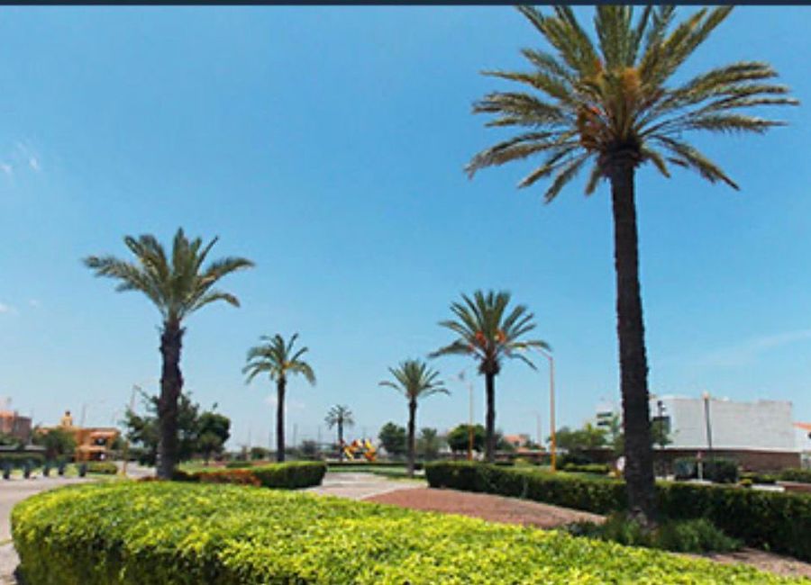 place photo 8