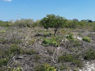 Terreno de 500m2 en Venta en Chicxulub Puerto, Progreso, Yucatán