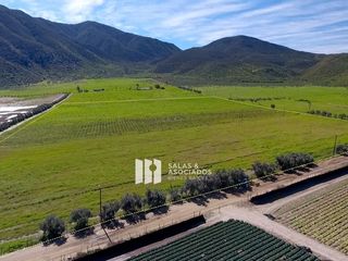 Se Venden 8 Hectáreas con Derechos de Agua y Electricidad en Valle de Guadalupe