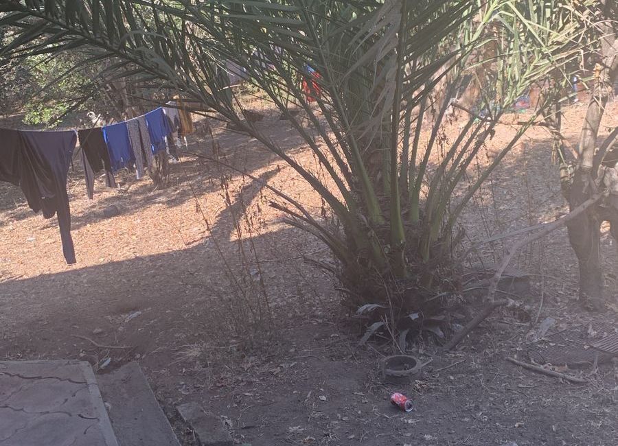 place photo 16
