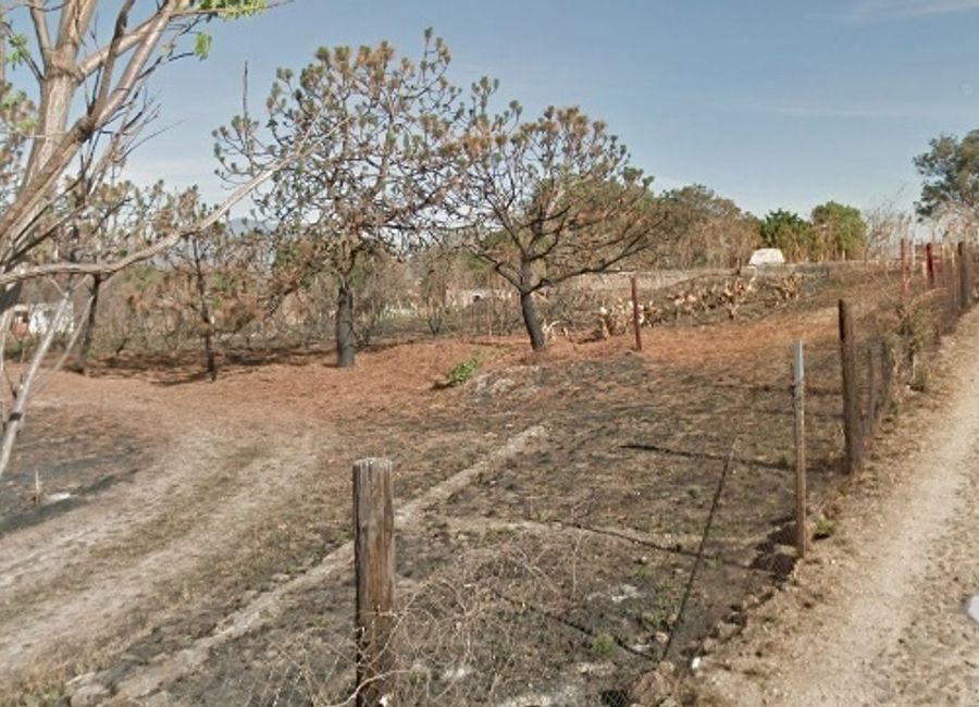 place photo 11