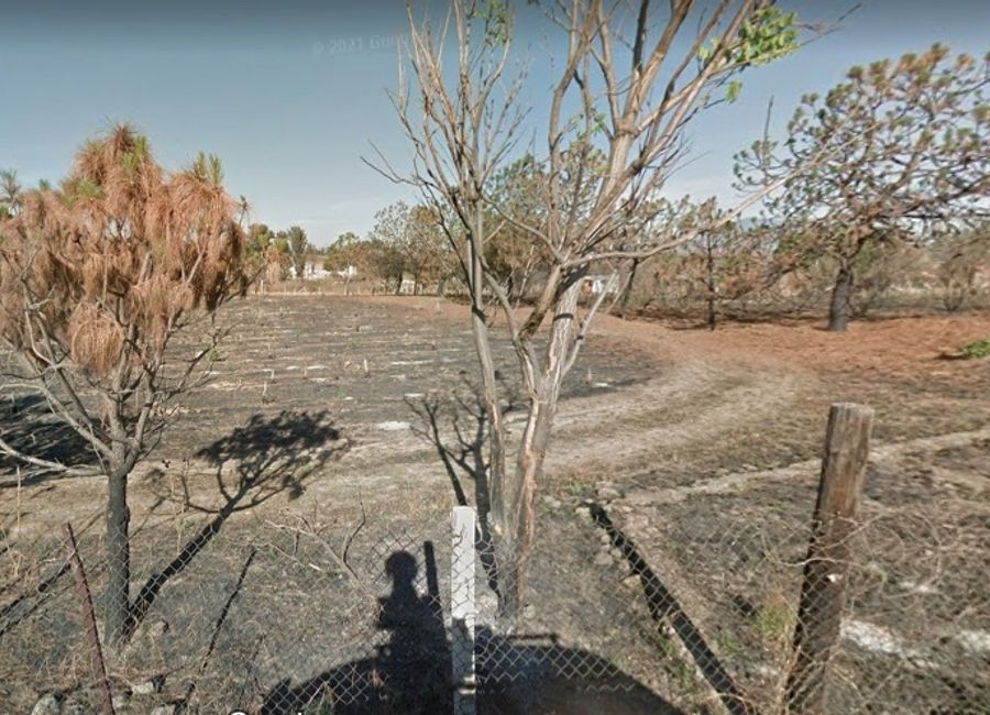 place photo 22