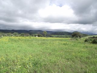 Terreno 6.2 hectáreas en Ixtapaluca.