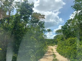 Terreno en Venta en Francisco, Tulum Quintana Roo