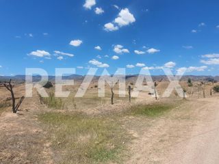 Terreno en venta en Morcillo Durango, Dgo - (3)