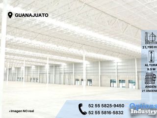 Rental of industrial space located in Guanajuato