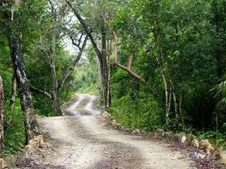 Terreno en Venta en Francisco Uh May/Tulum