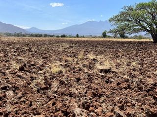 Terreno en venta 57.9  hectareas en Amatitan Jalisco