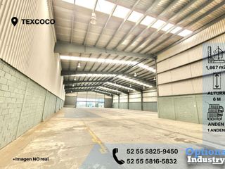 Texcoco, area to rent industrial property
