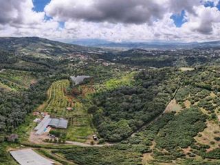 VENDO HECTAREAS CON USO DE SUELO MIXTO Y AGRARIO