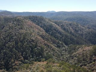 Terreno en venta de uso rústico en Tapalpa