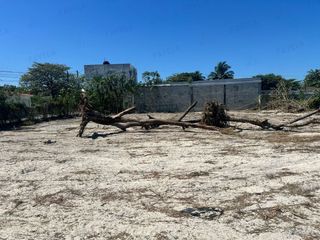 TERRENO EN RENTA EN COLONIA ISLA DEL CARMEN 2000