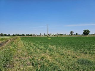 VENTA DE TERRENO "LOS CERRITOS" CAMINO A TEQUISQUIAPAN