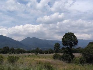 Terreno  en Venta, Jilotzingo, Edo de Mexico