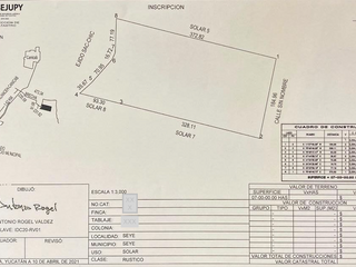 Venta terreno de 70,000m2 en Seyé, Yucatán