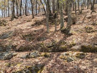 Terreno campestre en venta sierra de santa rosa A 100 metros de la carretera