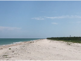 Se Vende Terreno frente a las Playas de Celestún, Yucatán