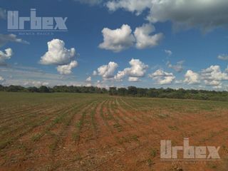 VENTA DE TERRENO AGRICOLA EN HOPELCHEN, CAMPECHE