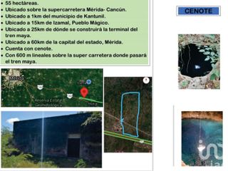 55 Hectáreas con Cenote IZAMAL sobre carretera Federal