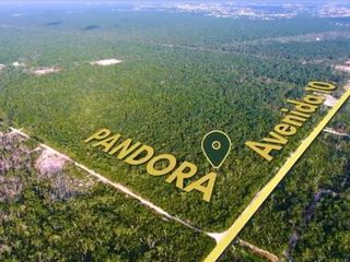 Pandora Avenida 10:  TULUM, terrenos desde los 283.78 m2 hasta los 579.25 m2