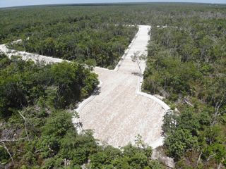 Boé Tulum: Terrenos en Venta, Conecta con la Naturaleza en TULUM.