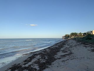 Terreno de Playa en San Benito, Telchac, pto.