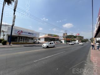 Local - Las Palmas