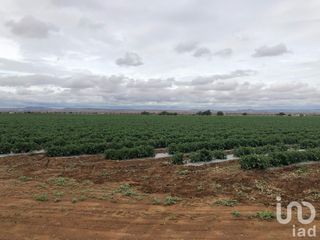 Terreno en venta en Zacatecas