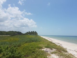 Terreno Frente a la playa en Playa Palmeras , Campeche