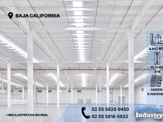 Industrial warehouse for rent located in Baja California industrial park